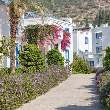 Resort Labranda Tmt